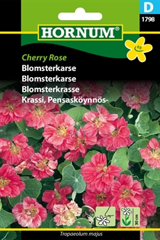 Blomsterkarse - Cherry Rose